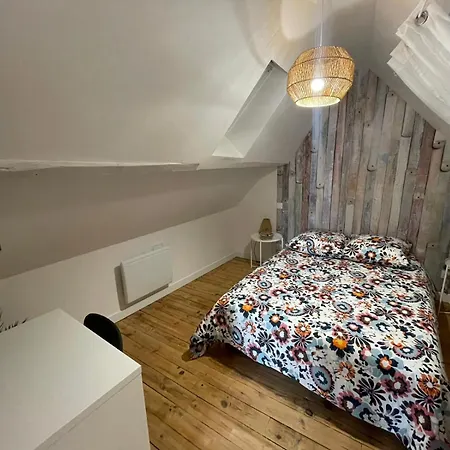 Hotel New Cosy Harmonia - 8 Pers -chateau Et Terrasse 85 M2 Lourdes